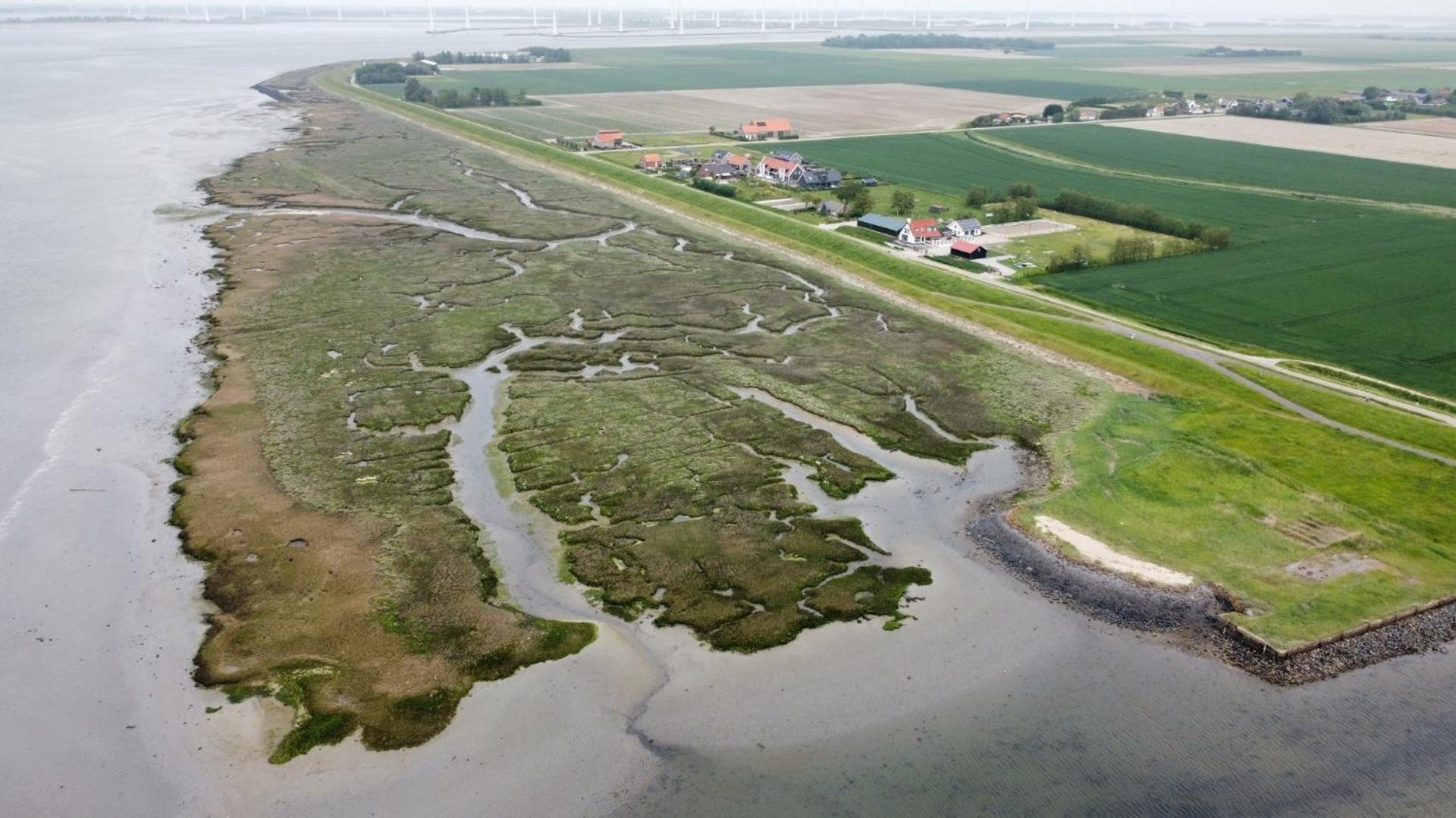 Philipstere Sint Philipsland Exterior foto